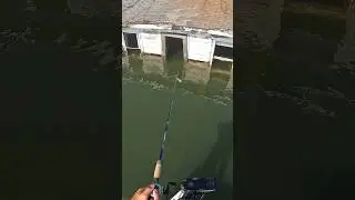 Fishing inside a flooded house!
