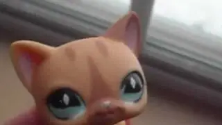LPS Music Video-Firework ~ NicoleSaysHi1's Contest ~