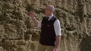 MAIZE SILAGE TIPS 2022 | Ecocool additive | Ecosyl