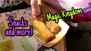 Magic Kingdom! | Snacks and MORE!