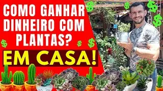 Idéias para abrir um negócio de plantas e flores em 2022