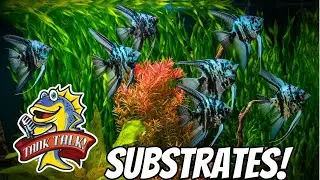 Aquarium Substrates, The GOOD And The BAD