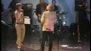 Ed Sanders & The Plastics: I want to know