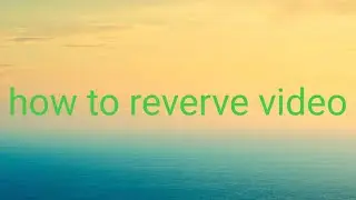 How reverse videos