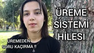 AYT ÜREME SİSTEMİ HİLESİ! - Üremeden Soru Kaçırma!
