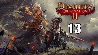 Divinity original sin 2