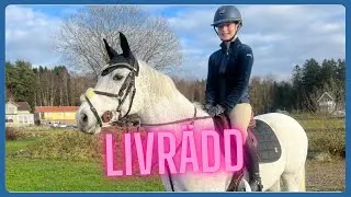 Med livet som insats, jag vågade inte - VLOGG