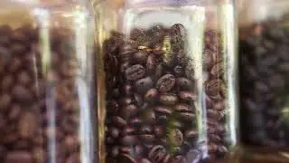 What are the differences between coffee bean roasts?