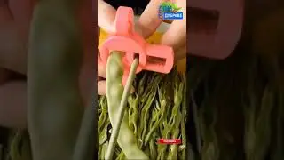 мне нужна такая штука | Саженцы и семена по суперпредложениям ссылка в описании