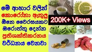 ඕනම වෛරසයකින් බේරෙන්න සිරුරේ ප්‍රතිශක්තිය වඩන හොදම ආහර foods to boost immune system - Sonduru Diviya