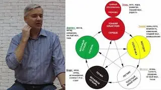 У-Син: Как по звукам и вкусам человека определить энергии которые преобладают