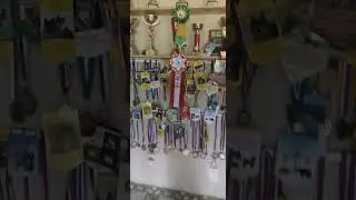 #лайки #питомниксобак #собачки #охотничьисобаки #копки