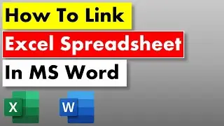 How To Link Excel Spreadsheet in Word - Step by Step