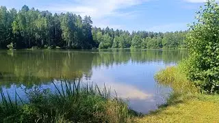 Квартира в доме у озера в городском округе Электросталь