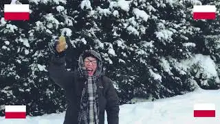 2022-12 - La patate éternelle