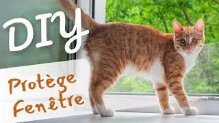 DIY : Protection de fenêtre pour chat | filet antifugue