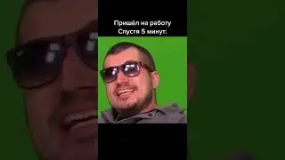 паша техник
