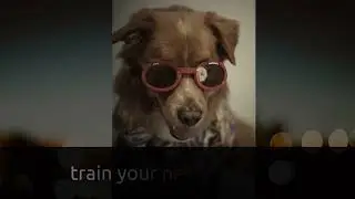 Train your neighbors dog ... or try Kadiska?