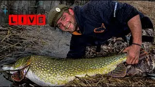 LIVEfiske efter vårgädda med Anton Tsvetkov