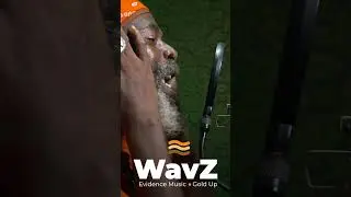 Capleton & Mixing Finga - Mi Deh Yah | WavZ Session