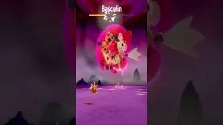 Pokémon Sword - Solrock picked up a rock & threw it at Basculin (Rock Throw Move)