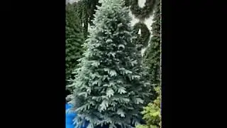 Ель искусственная литая Юта