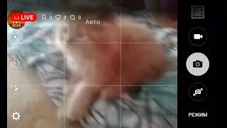Лчочтка