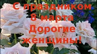 Цветение роз вам в подарок, дорогие женщины!