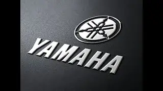 Тест оригинальных склиз от компании YAMAHA