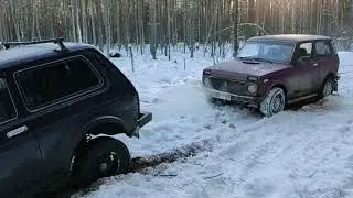 нива может