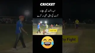 Cricket Funny Fight