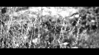 Dr. Yen Lo - Day 70