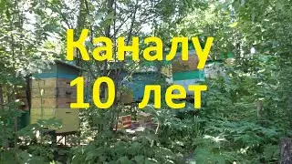 Моему каналу уже 10 лет, что изменилось