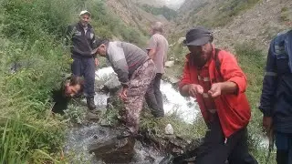 Ҳашари даста ҷамона дар сарҷуйбор  Дарраи Старғи  беҳтарин  ҷо барои тамошо!