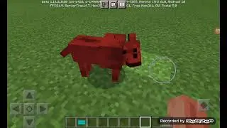 minecraft 6. bölüm şifa öldü