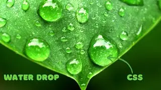 Water Drop Effect in CSS - 2022