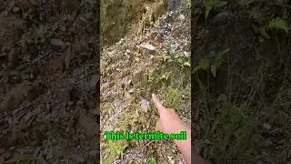 Traditional gold prospecting! I found gold in termite soil with amazing results