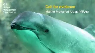 Marine protected areas call for evidence