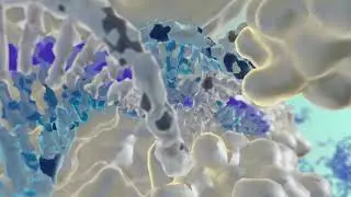Biosensors detect CRISPR activity