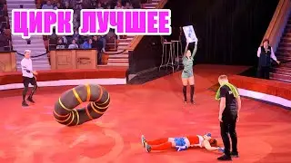 ЦИРК Лучшее! Самый смешной клоун сезона | Лучшие выступления циркового сезона 2023-2024 | Гомель