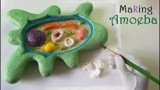 How to Make Amoeba 3D Model