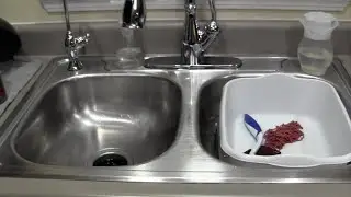 SHINE YOUR SINK! || Cleaning Motivation || FlyLady System