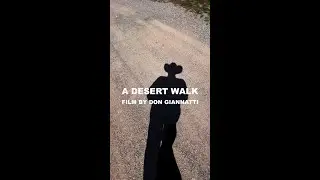 A Walk In the Desert