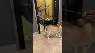 Karen won’t let woman use elevator to go home
