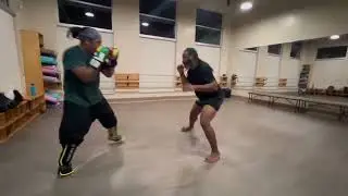 Capoeiragem: Adapting the Ginga for Combat Sports
