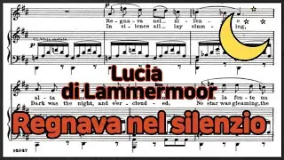 Regnava nel silenzio - [Lucia di Lammermoor] 'G.Donizetti' Piano Accompaniment/karaoke