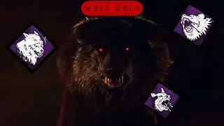 Wolf Mode Is Unstoppable…