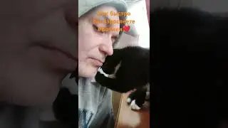 Знакомьтесь Малыш #Котик 😻зовут Патап  #Приют ##Кронштадт