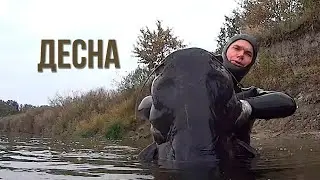 Подводная охота на Десне. Охотимся на сома, сазана и судака