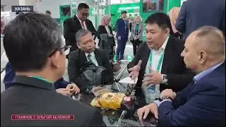 Круче ПМЭФ: разворот на восток - исламские страны в Казани. От Питера до Мумбаи: новый торговый путь